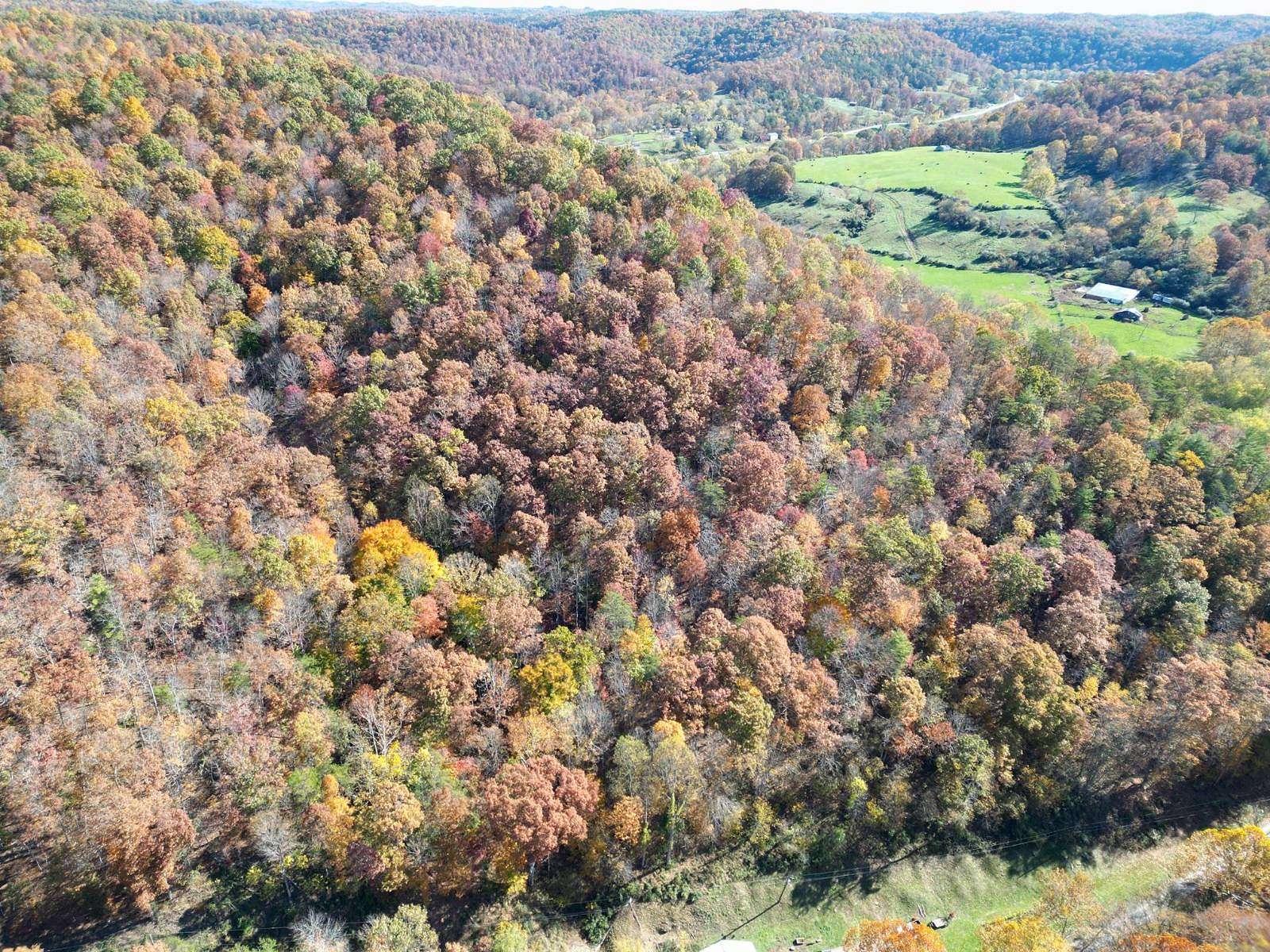 36.86 Acres of Recreational Land for Auction in Bigbend, West Virginia