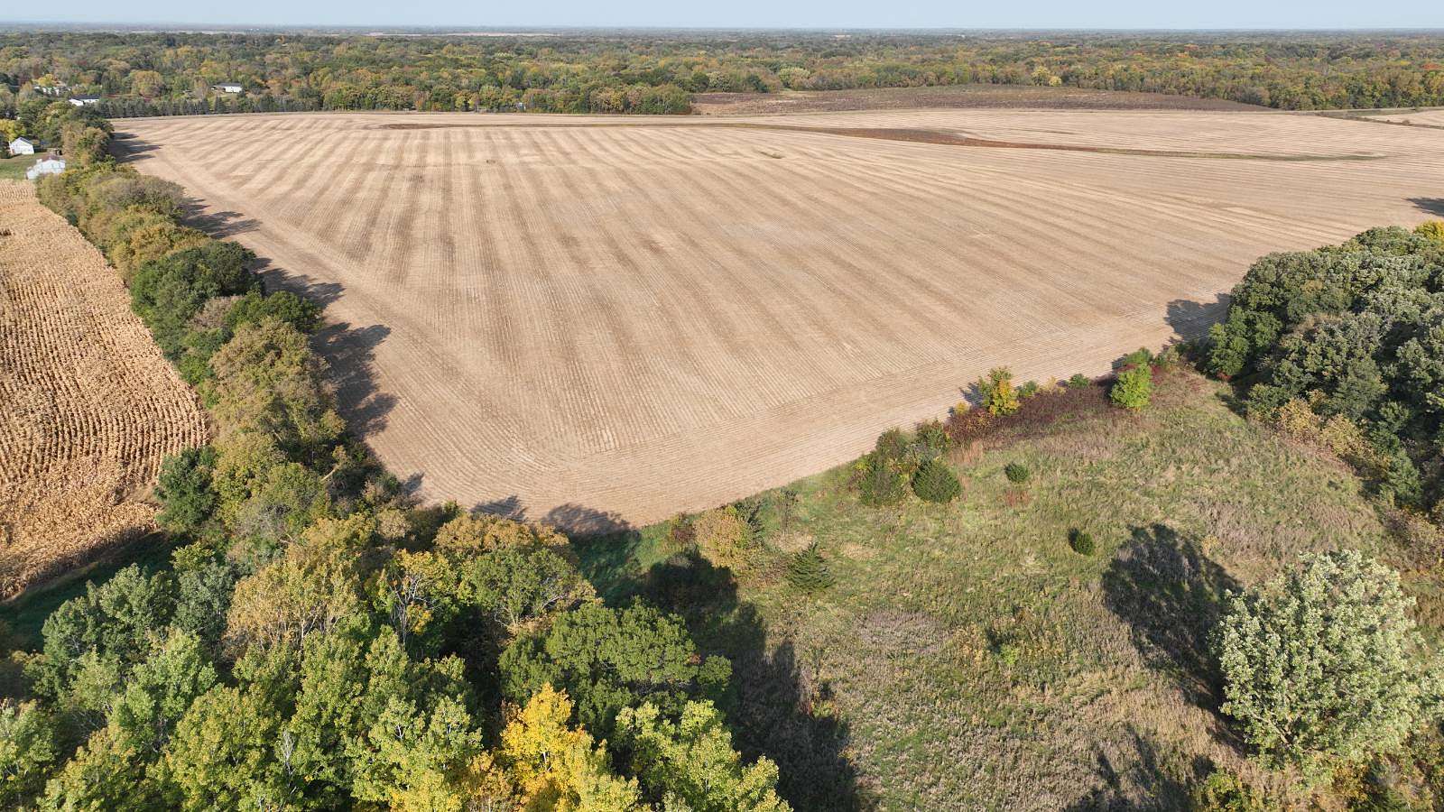 1,215 Acres of Agricultural Land for Auction in Foley, Minnesota