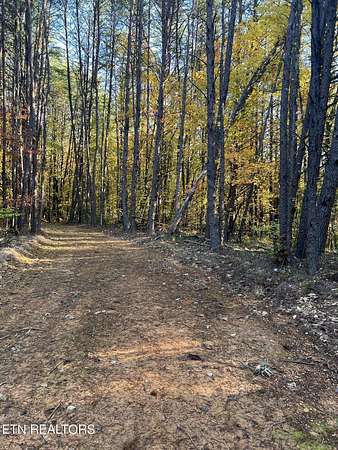 18 Acres of Recreational Land for Sale in Tellico Plains, Tennessee