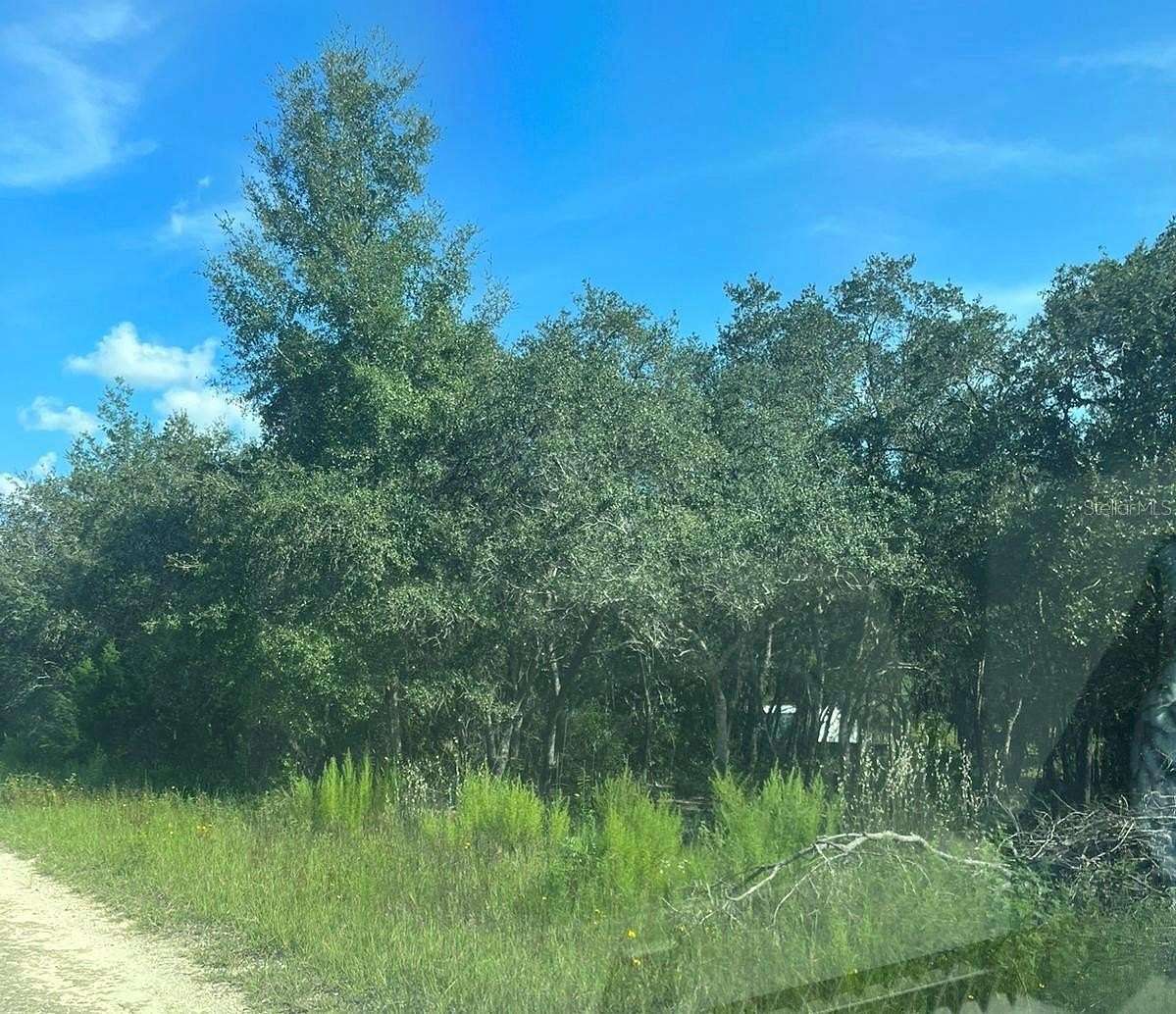 0.23 Acres of Residential Land for Sale in Williston, Florida