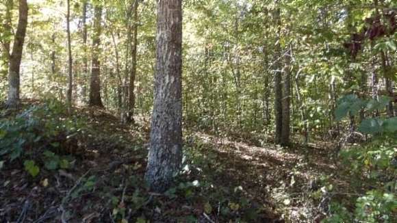 7.41 Acres of Residential Land for Sale in Sparta, Tennessee