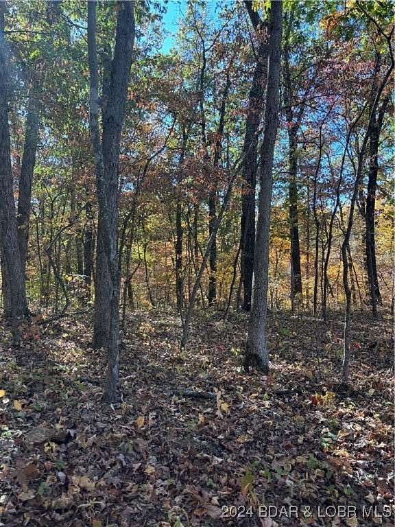 10.4 Acres of Recreational Land for Sale in Stover, Missouri