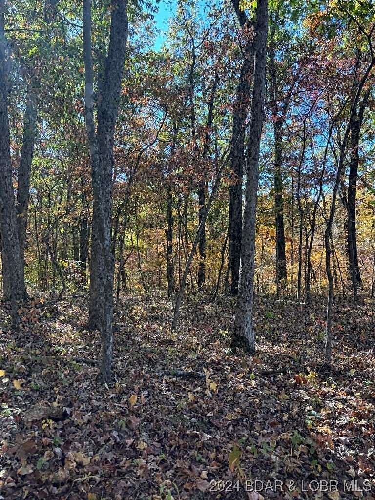 10.4 Acres of Recreational & Residential Land for Sale in Stover, Missouri