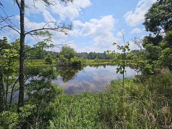 63 Acres of Recreational Land for Sale in Zachary, Louisiana