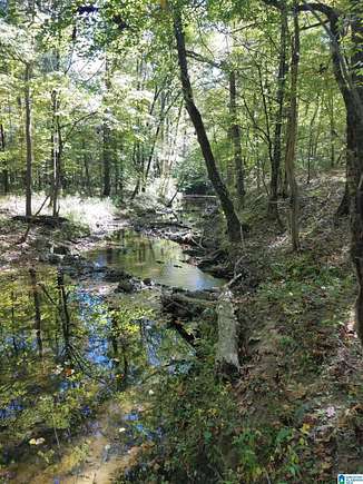 60 Acres of Recreational Land for Sale in Montevallo, Alabama