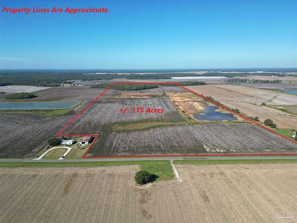 115 Acres of Recreational Land & Farm for Sale in Walnut Hill, Florida