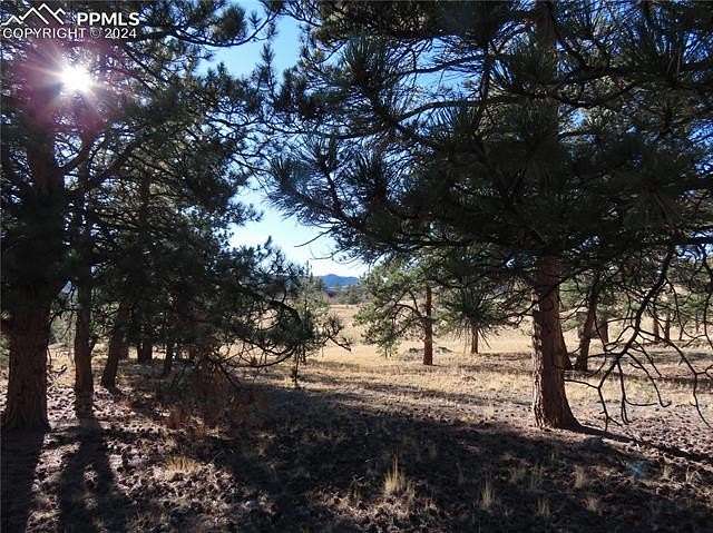 1.13 Acres of Land for Sale in Florissant, Colorado