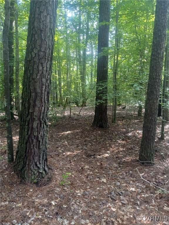 8.7 Acres of Residential Land for Sale in Foster, Virginia