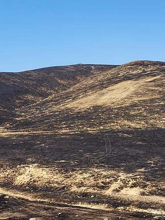 39.2 Acres of Land for Sale in Bakersfield, California