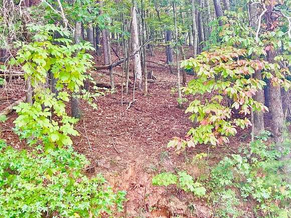 0.83 Acres of Residential Land for Sale in Ellijay, Georgia