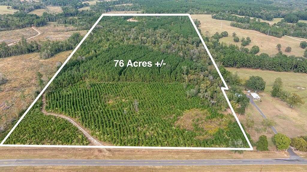 76.68 Acres of Recreational Land for Sale in Nacogdoches, Texas