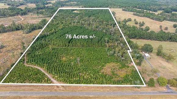 76.68 Acres of Recreational Land for Sale in Nacogdoches, Texas