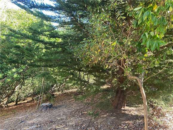 0.17 Acres of Residential Land for Sale in Cambria, California