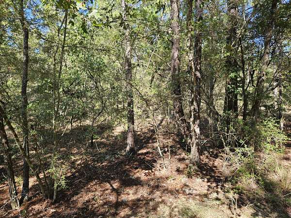 0.69 Acres of Residential Land for Sale in DeFuniak Springs, Florida