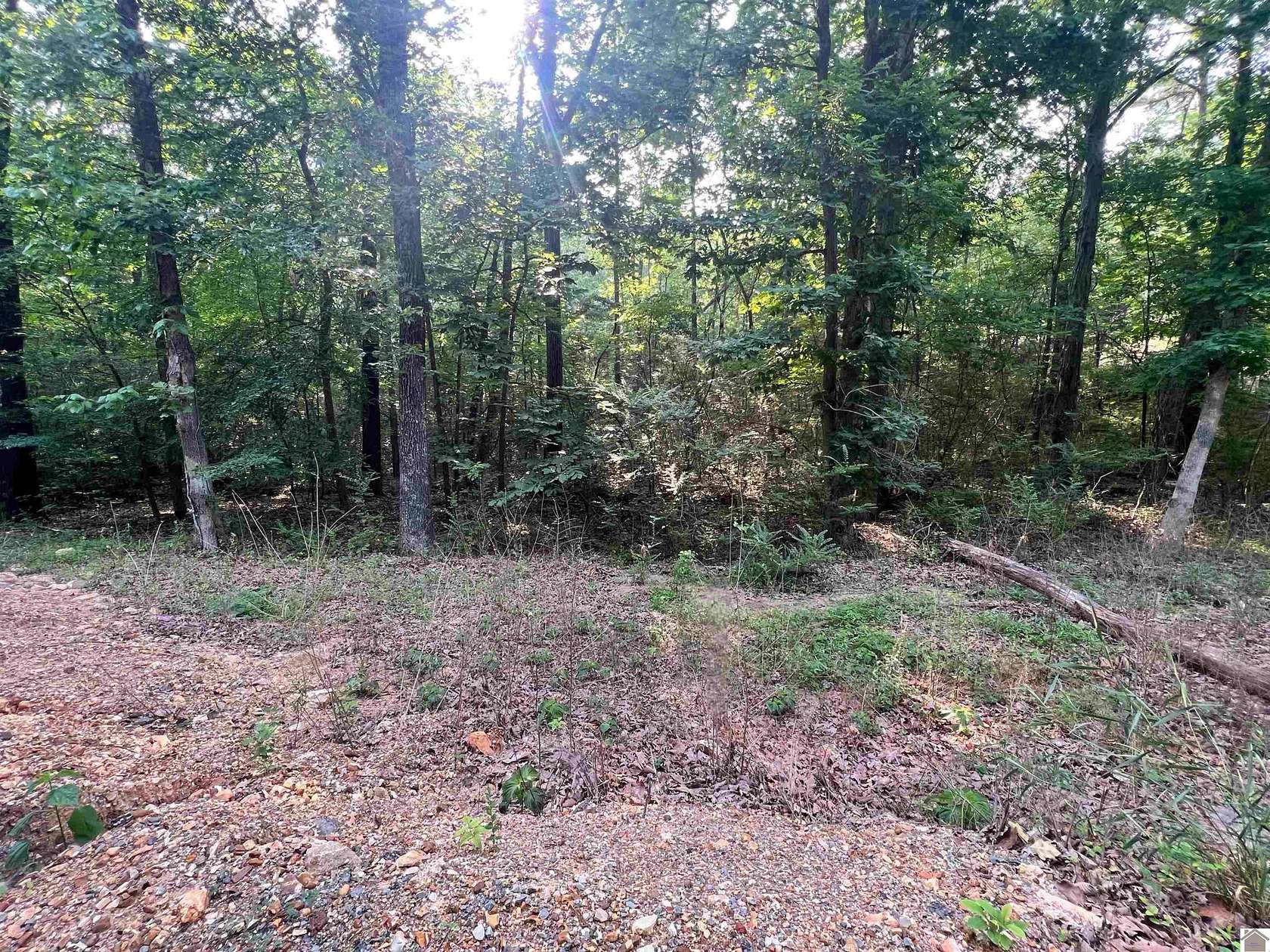 0.23 Acres of Residential Land for Sale in New Concord, Kentucky