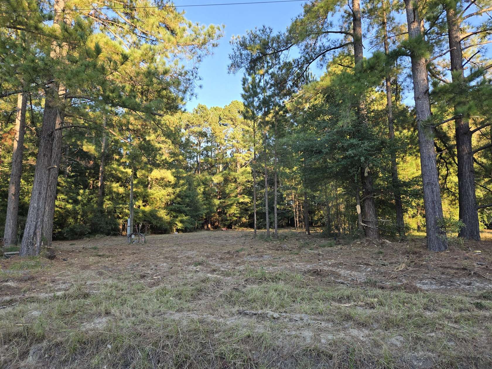 89 Acres of Recreational Land for Sale in Williston, South Carolina