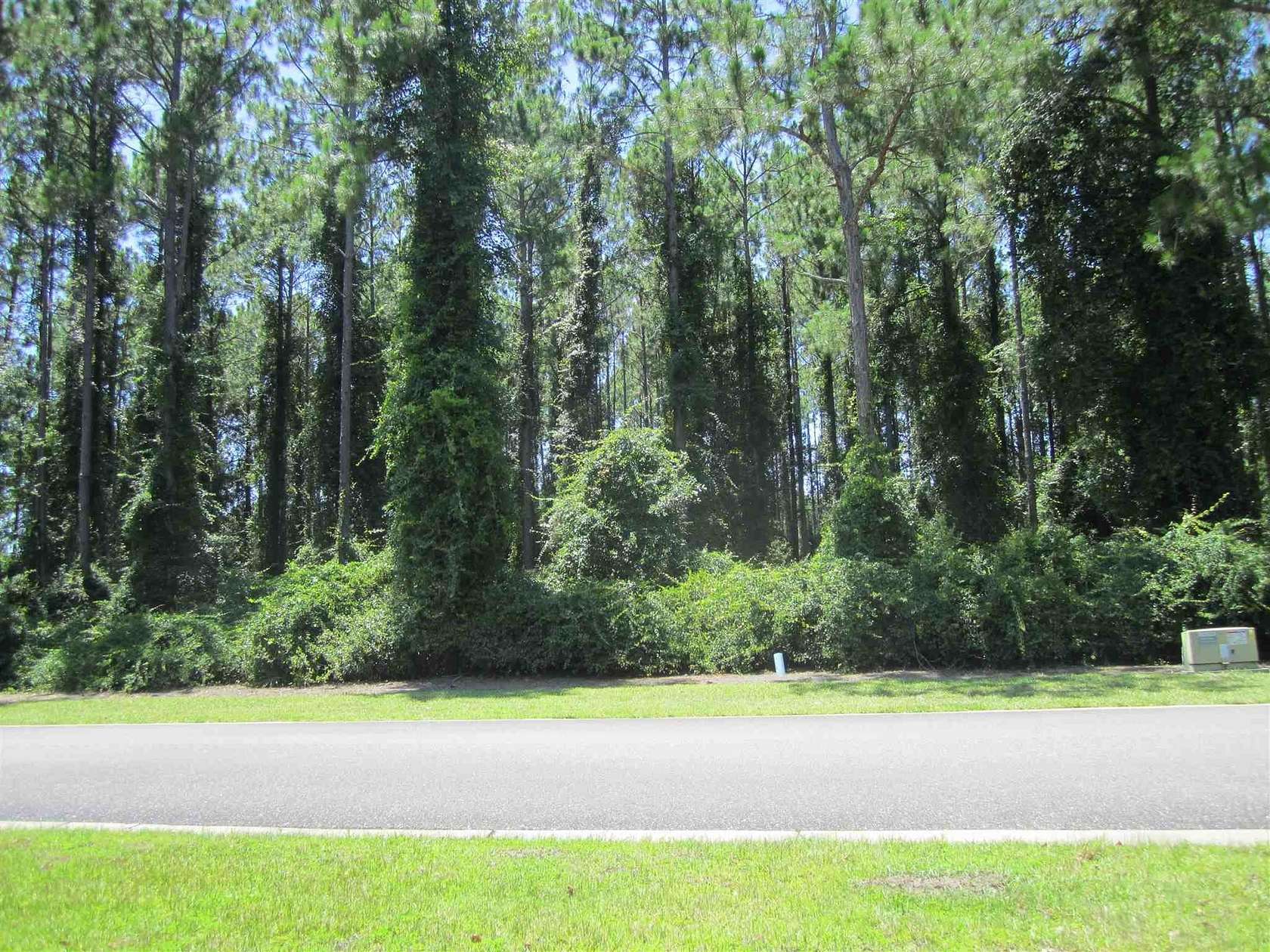 0.38 Acres of Residential Land for Sale in St. Marys, Georgia