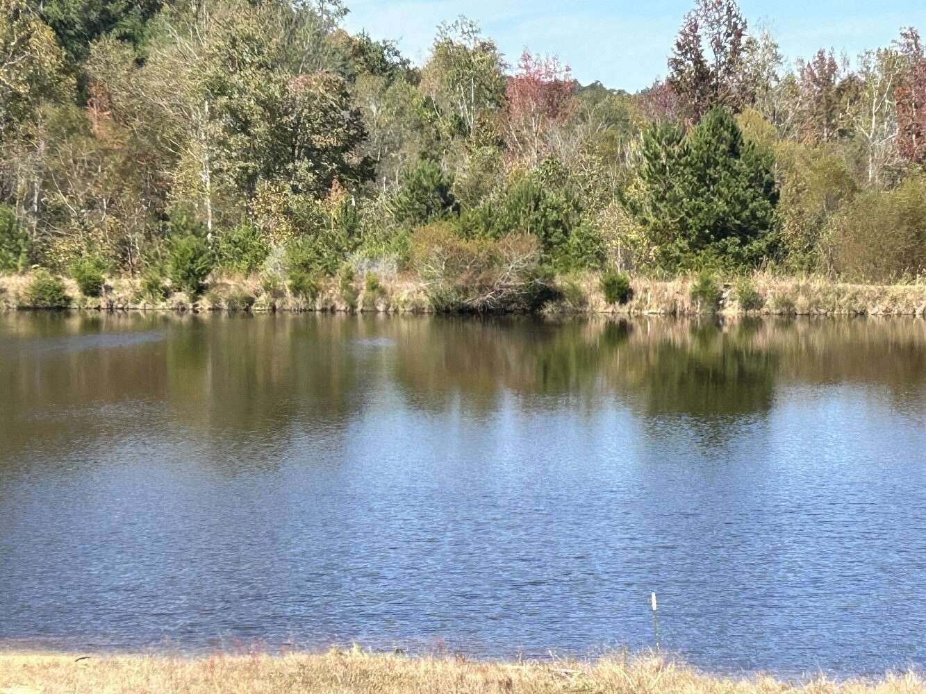 292.32 Acres of Recreational Land with Home for Sale in Blackstock, South Carolina