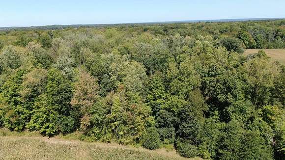 80 Acres of Land for Auction in West Salem, Ohio