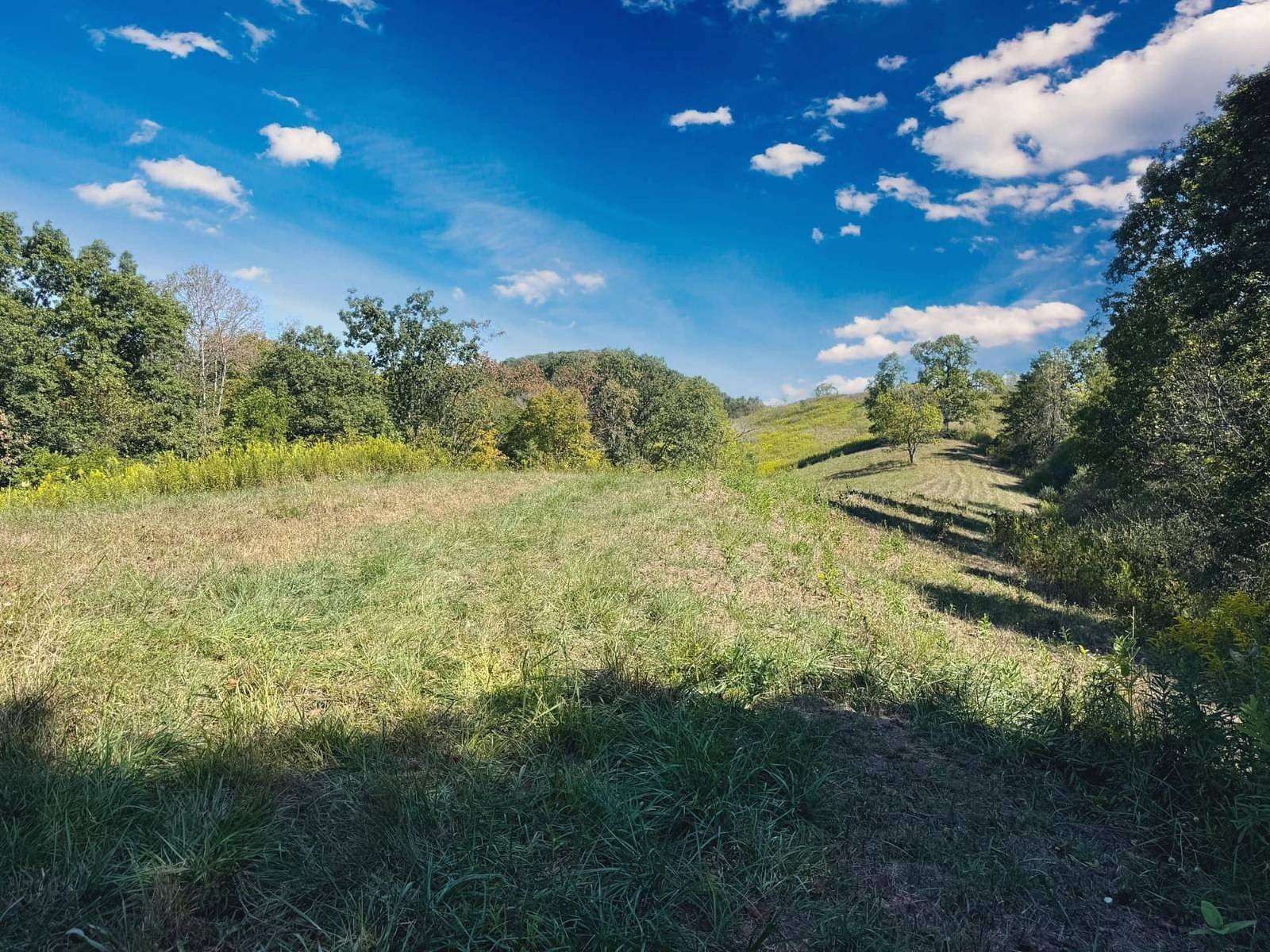 38.8 Acres of Recreational Land for Sale in Newton, West Virginia