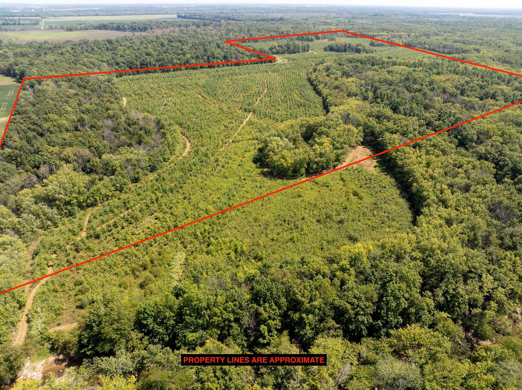 127 Acres of Recreational Land for Sale in Clay City, Illinois