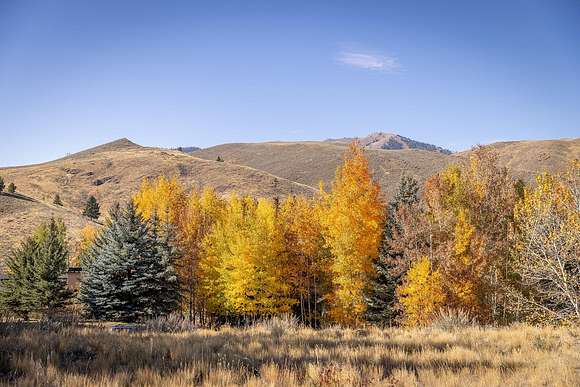 0.6 Acres of Residential Land for Sale in Sun Valley, Idaho