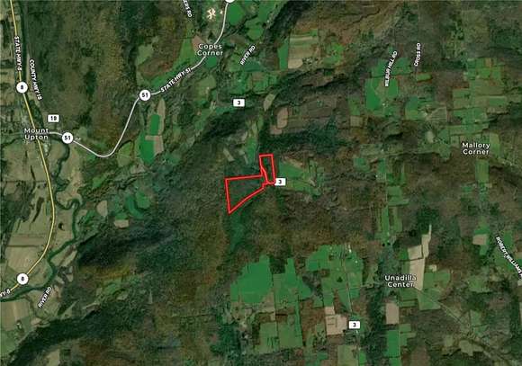 77.54 Acres of Recreational Land for Sale in Butternuts Town, New York