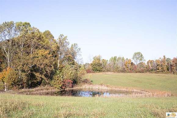 7.5 Acres of Recreational Land & Farm for Sale in Knifley, Kentucky