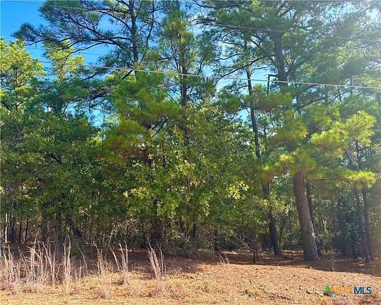 0.525 Acres of Residential Land for Sale in Bastrop, Texas