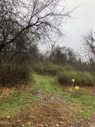 54 Acres of Recreational Land for Sale in McConnelsville, Ohio