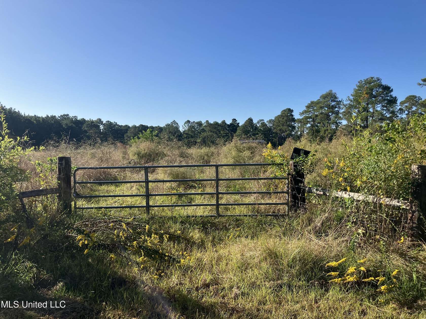 10 Acres of Residential Land for Sale in Bay St. Louis, Mississippi