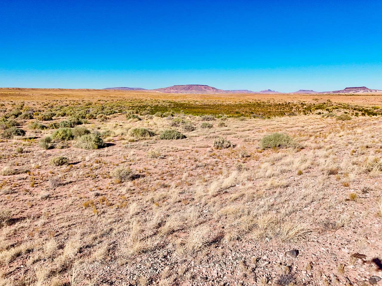 39.9 Acres of Recreational Land for Sale in Winslow, Arizona