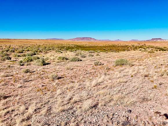 39.9 Acres of Recreational Land for Sale in Winslow, Arizona