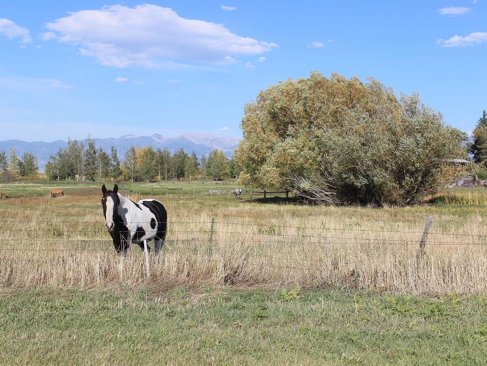 20 Acres of Recreational Land & Farm for Sale in Bozeman, Montana