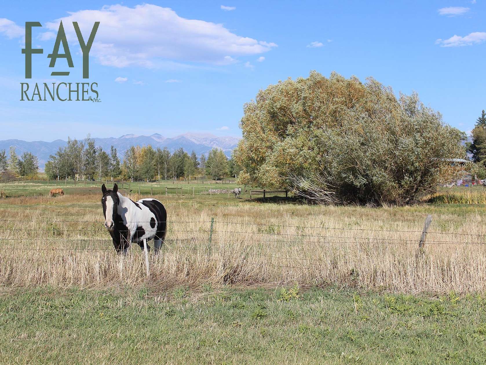 20 Acres of Recreational Land & Farm for Sale in Bozeman, Montana