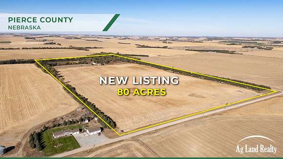 81 Acres of Agricultural Land for Sale in Plainview, Nebraska