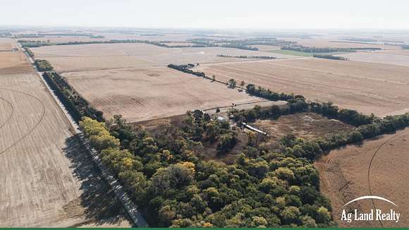 81 Acres of Agricultural Land for Sale in Plainview, Nebraska