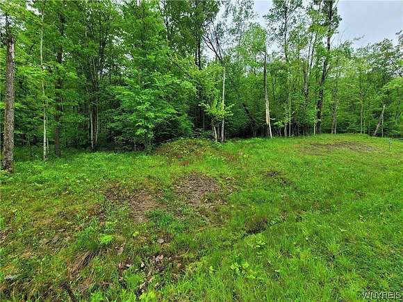 0.57 Acres of Residential Land for Sale in Grove, New York