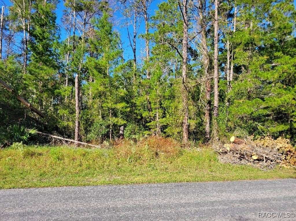 0.24 Acres of Residential Land for Sale in Homosassa, Florida