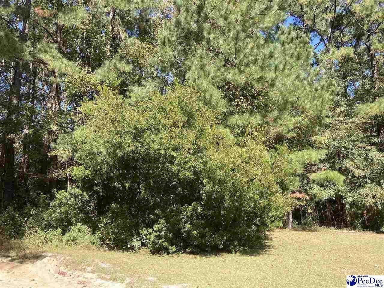 6.5 Acres of Residential Land for Sale in Lake View, South Carolina