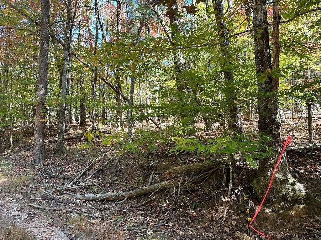 7.8 Acres of Residential Land for Sale in Ellijay, Georgia