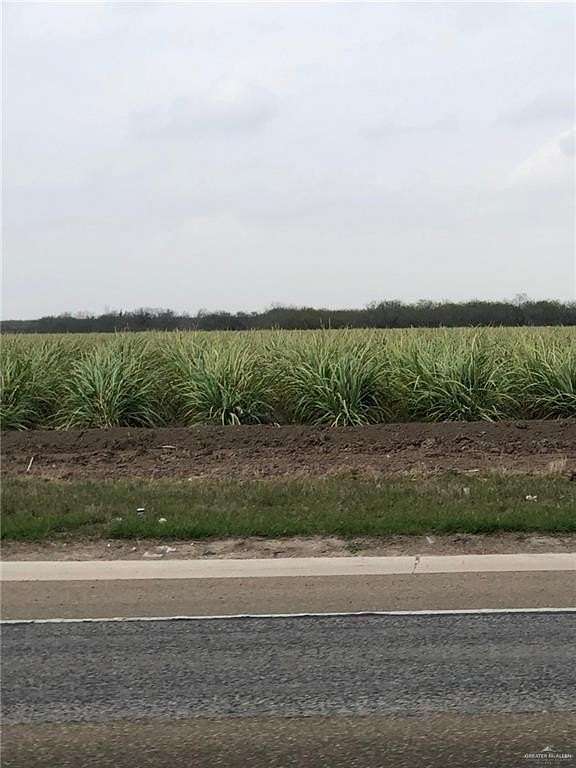 42.781 Acres of Land for Sale in McAllen, Texas