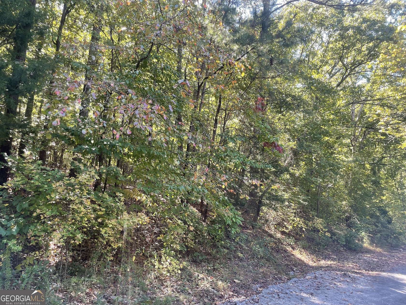 0.54 Acres of Residential Land for Sale in Monticello, Georgia