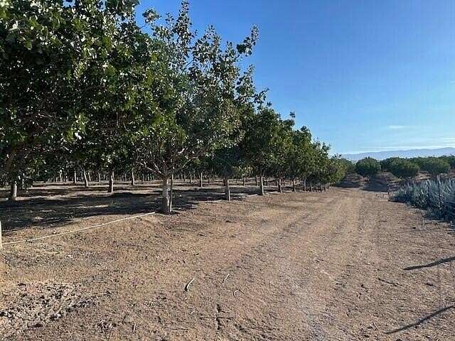 20.63 Acres of Agricultural Land for Sale in Terra Bella, California