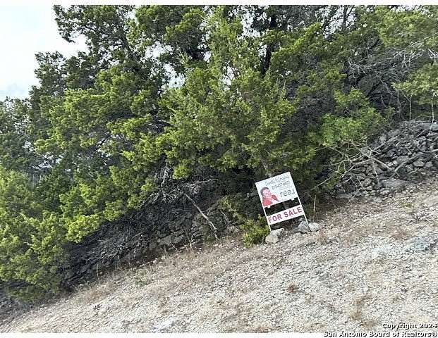 0.17 Acres of Residential Land for Sale in Canyon Lake, Texas