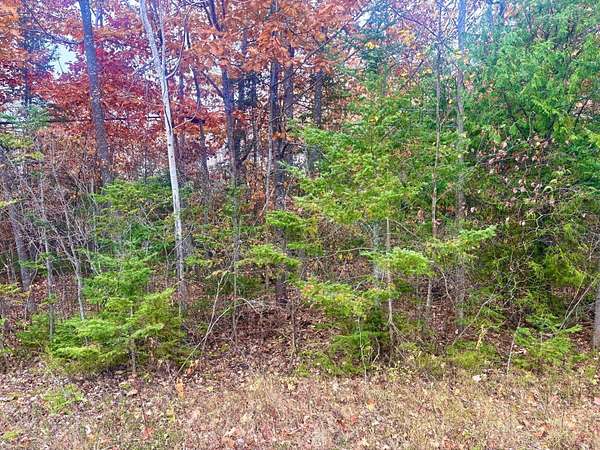 0.34 Acres of Residential Land for Sale in Presque Isle, Michigan
