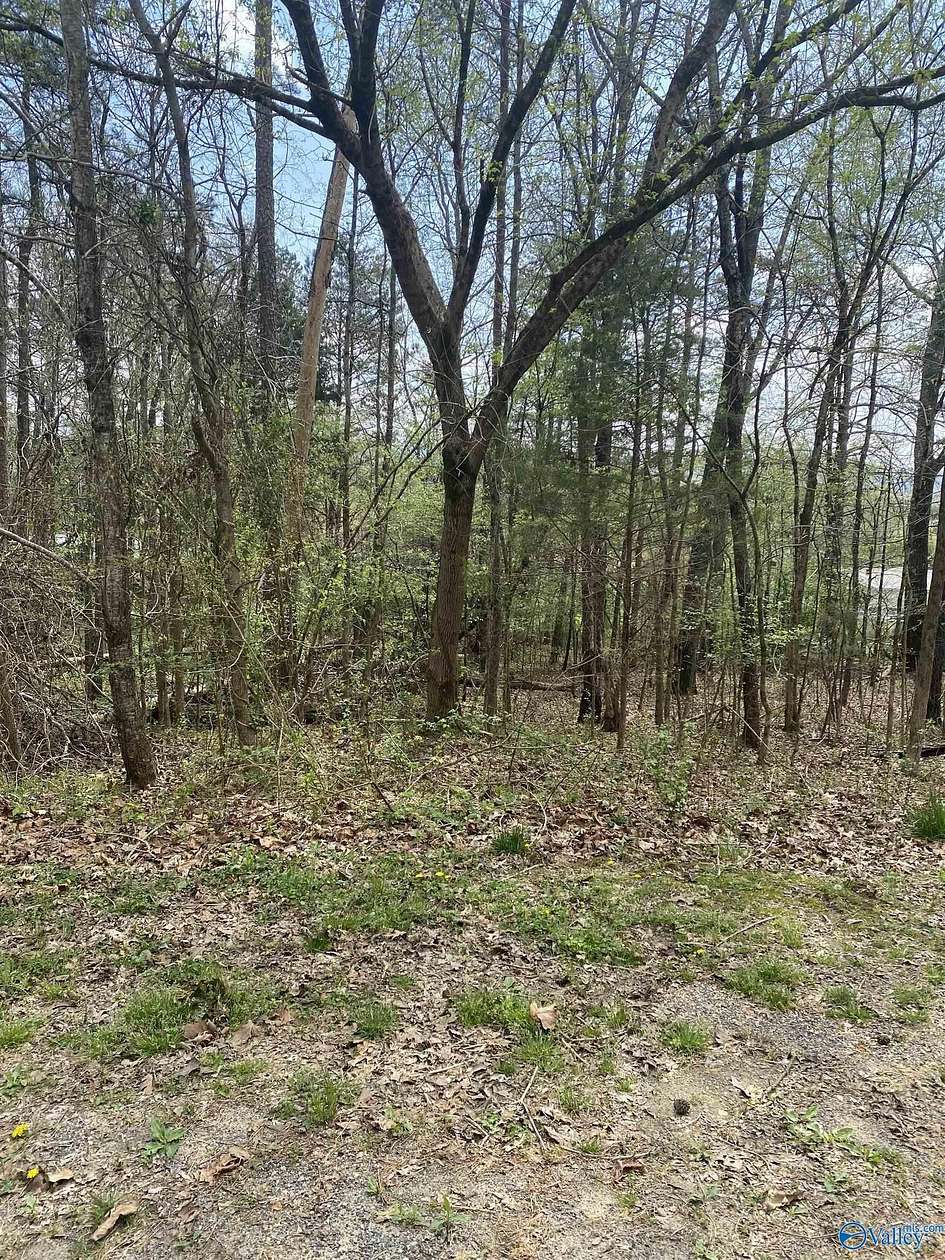 0.39 Acres of Residential Land for Sale in Valley Head, Alabama