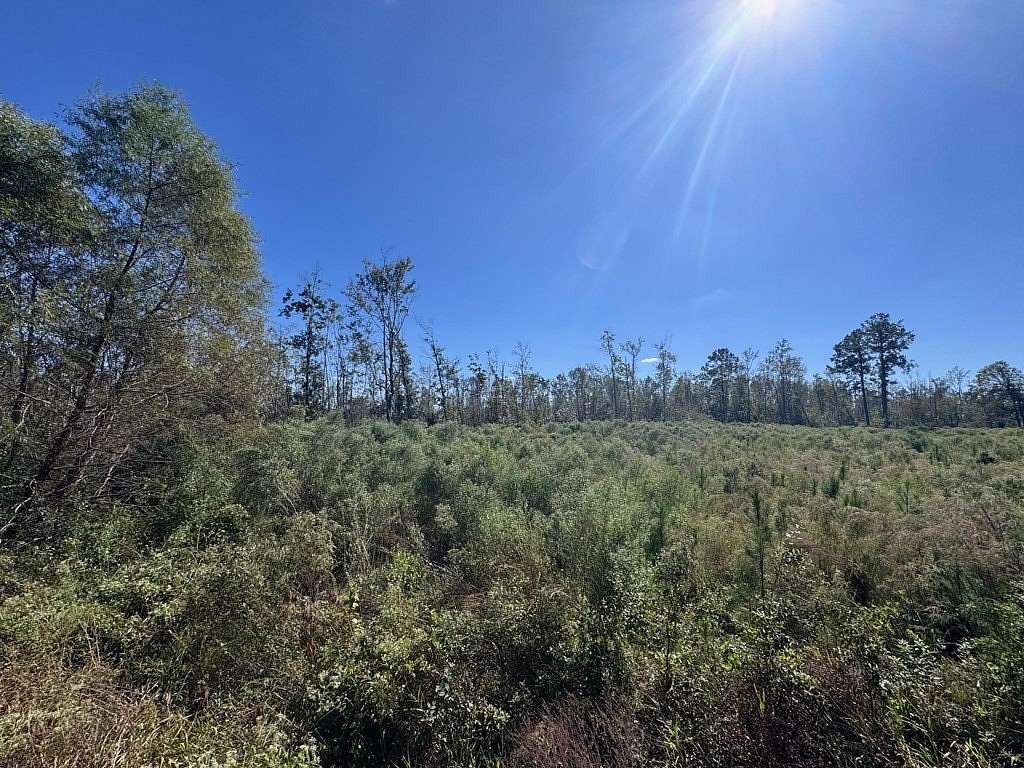 4.11 Acres of Residential Land for Sale in Adel, Georgia