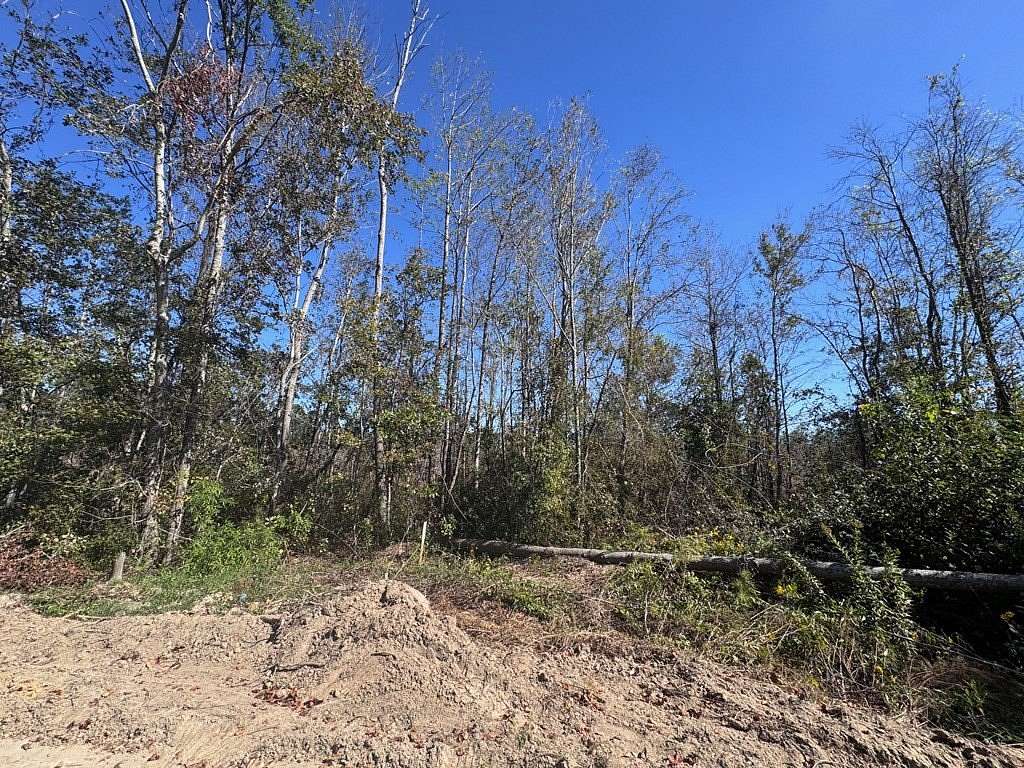 1.38 Acres of Residential Land for Sale in Adel, Georgia