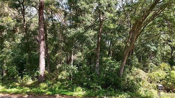 1.09 Acres of Residential Land for Sale in Hernando, Florida